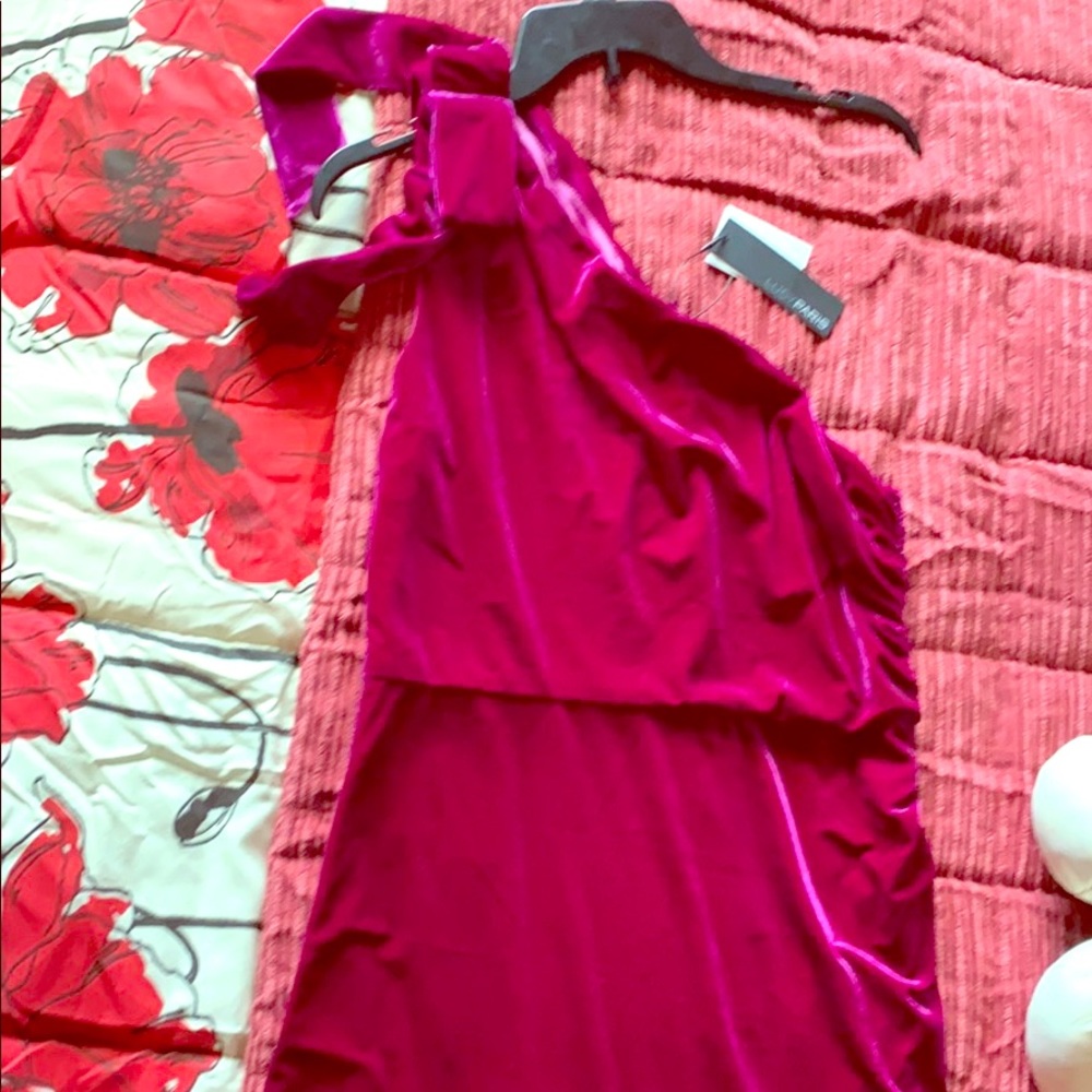 NWT Lucy Paris size Lg velvet dress